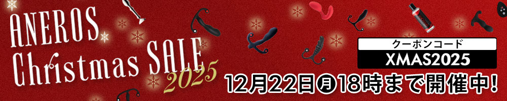 クリスマスセール 2025