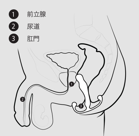アネロスの仕方