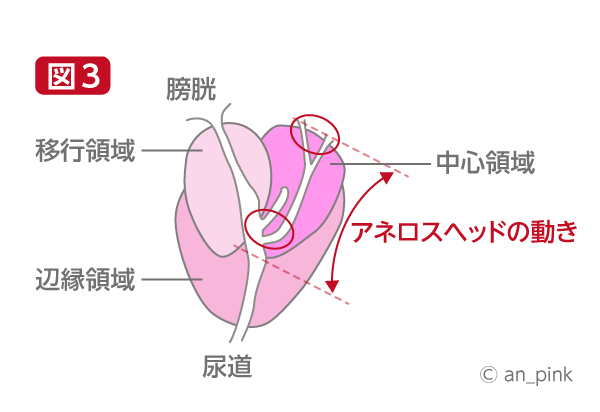 ドライオーガズムの考察詳細3