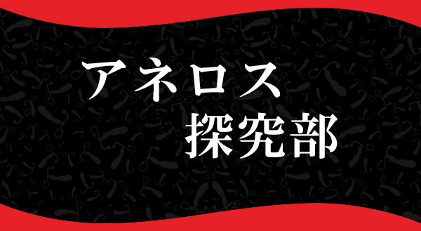 アネロス探究部「SGX＆MGX」