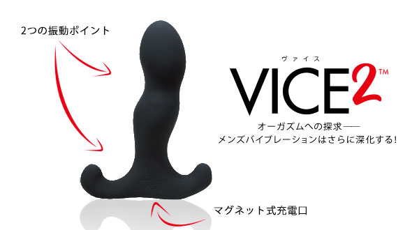 アネロスVICE 2 – ちとげレビュー