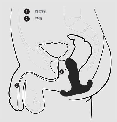 挿入されたヴァイス2