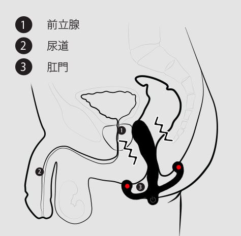 振動によって、ヒリックスシンVが下半身を広く刺激