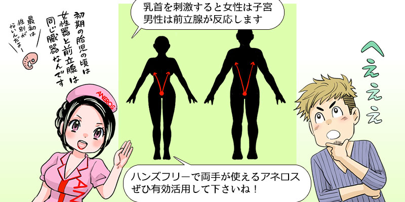 乳首と前立腺のリンク