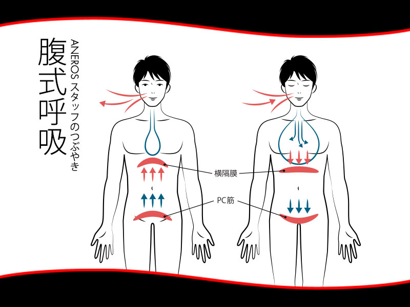 複式深呼吸についての断面図