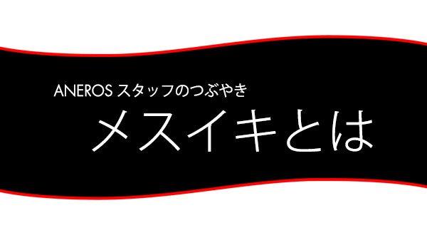 スタッフブログ：メスイキとは