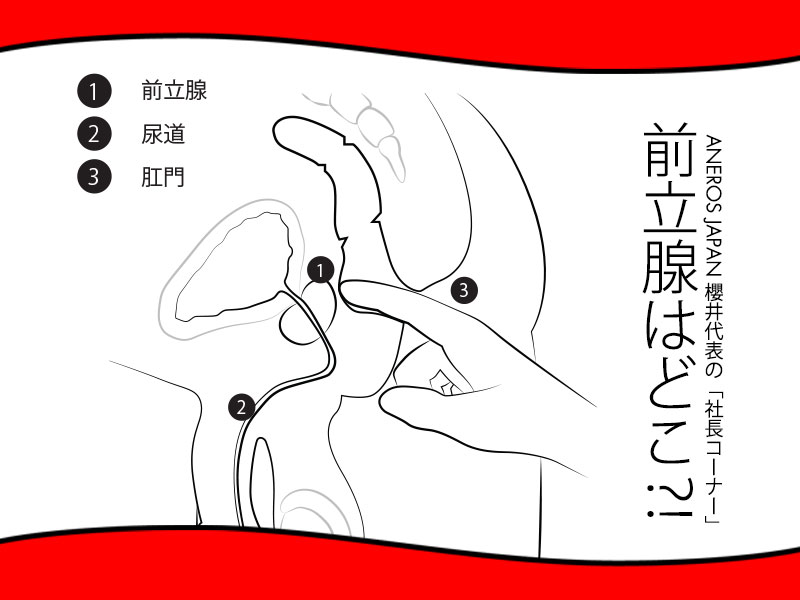前立腺の位置を把握する方法