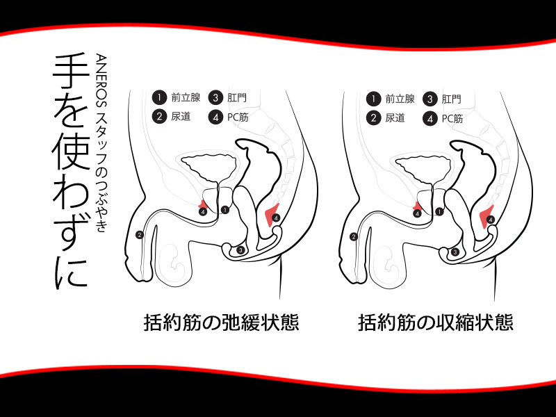 アネロスの動きの秘密