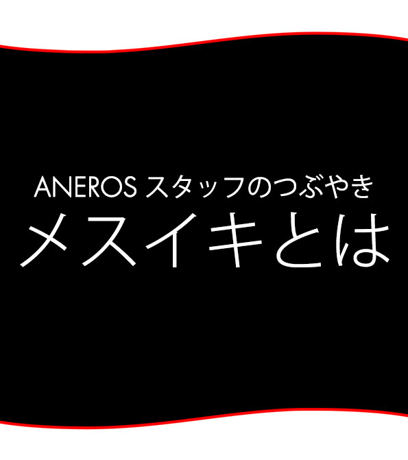 スタッフブログ：メスイキとは