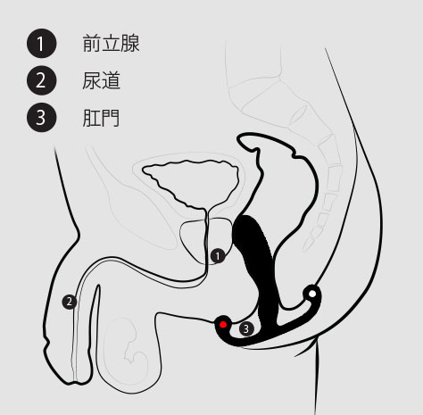 アネロスの仕方