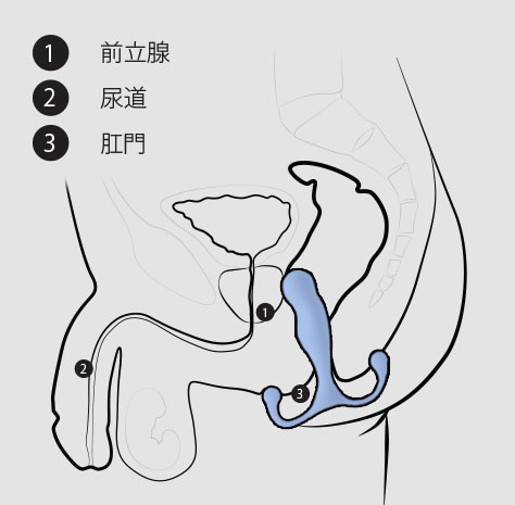 アネロスの仕方