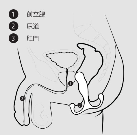 アネロスの仕方