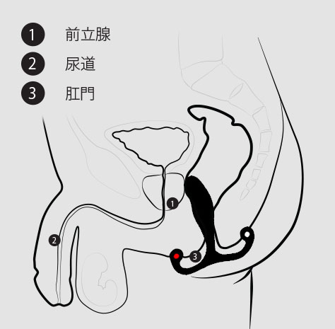 アネロスの仕方