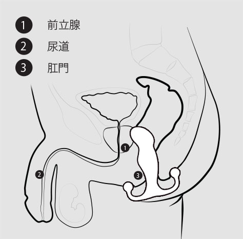 アネロスの仕方