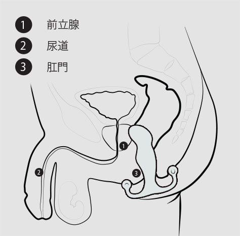 アネロスの仕方