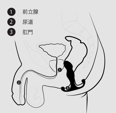 アネロスの仕方