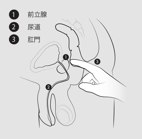 前立腺マッサージとは