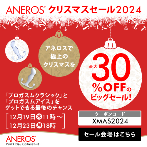 ANEROSクリスマスセール2024